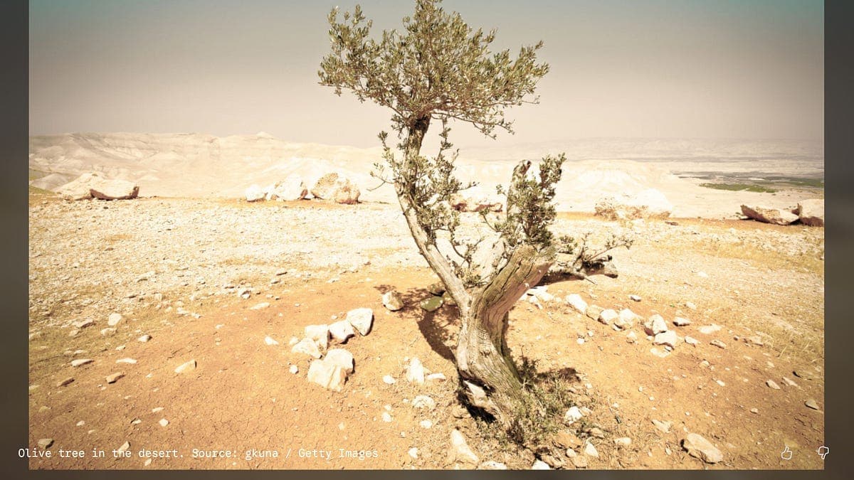 Sentinel İstihbarat