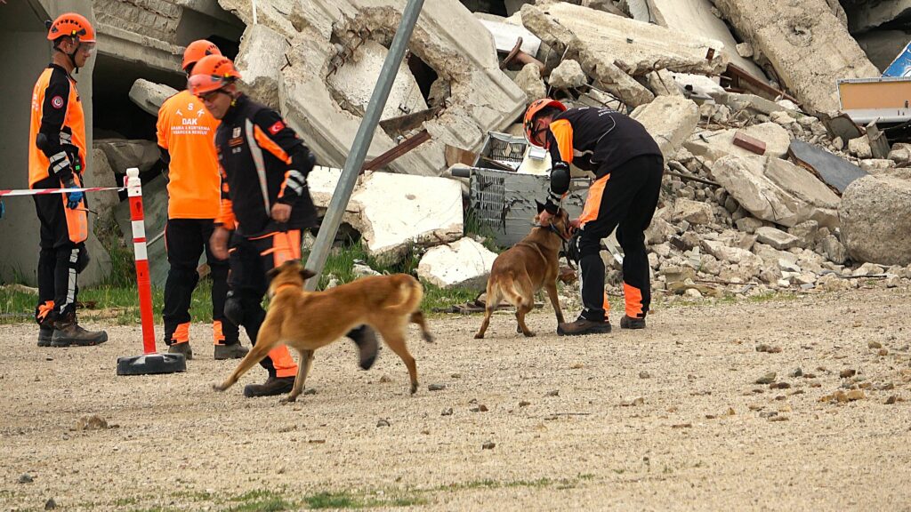 TSK, İnsani Yardım, Arama Kurtarma ve Lojistikteki Güç ve Yeteneklerini Ankara’da Yapılan İnsani Yardım Tatbikatında Gösterdi