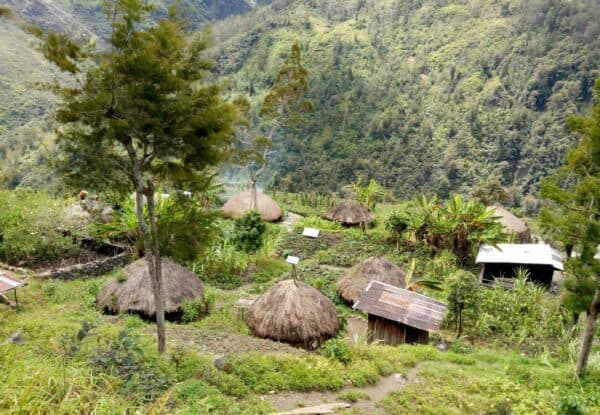 Endonezya, Papuan Ayrılıkçılar Tarafından Öldürülen Amerikan Pilotun Cesedini Kurtardı