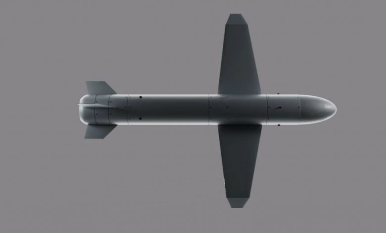 Hollanda ve Ukrayna, ortak İHA’ları üretecek