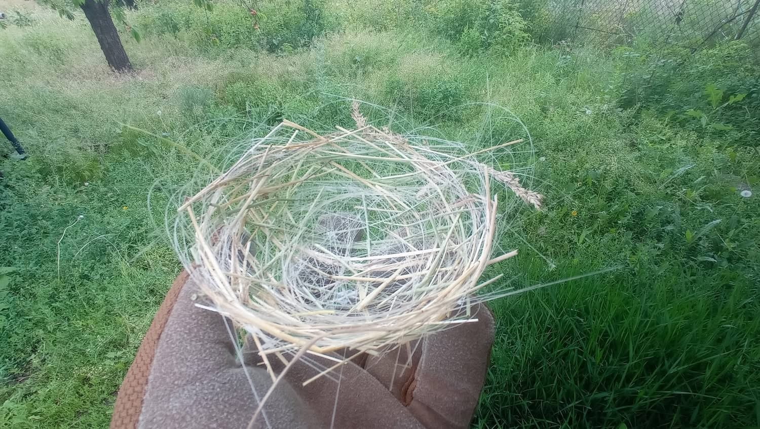 Ukrayna’da kuşlar yuvalarını dronların fiber kablolarıyla örüyor