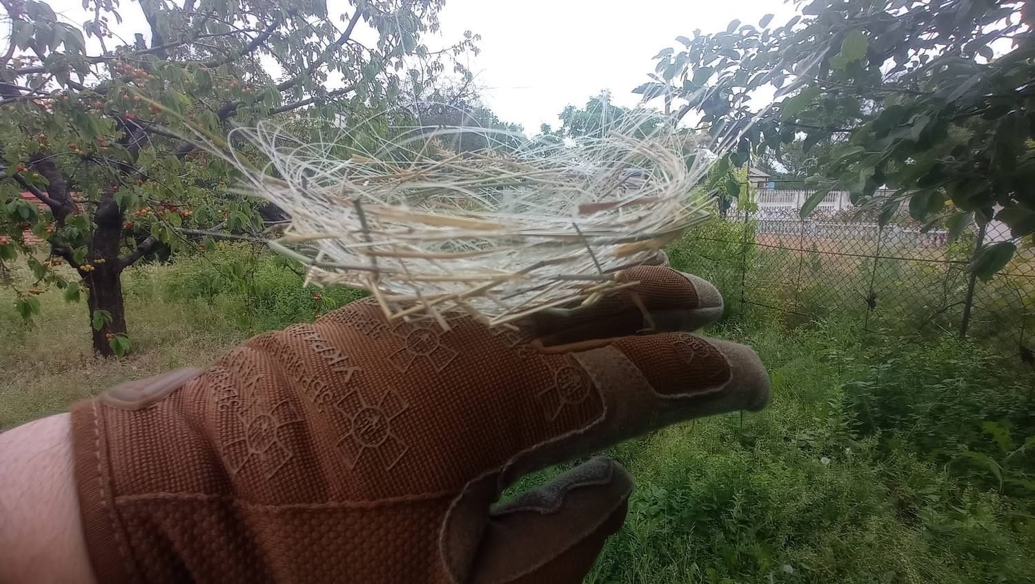 Ukrayna’da kuşlar yuvalarını dronların fiber kablolarıyla örüyor