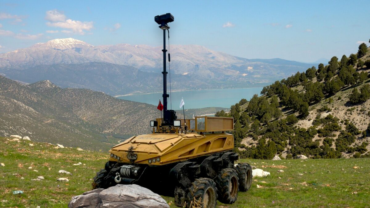 Aslanların Yanında Bir BOZKURT!