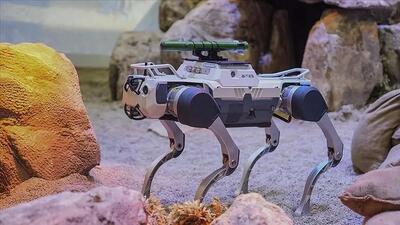 BİTES, robot köpeklerle ürettiği çözümlerle IDEF 2025’te